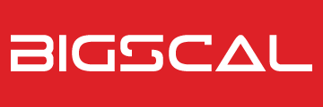 Bigscal Logo