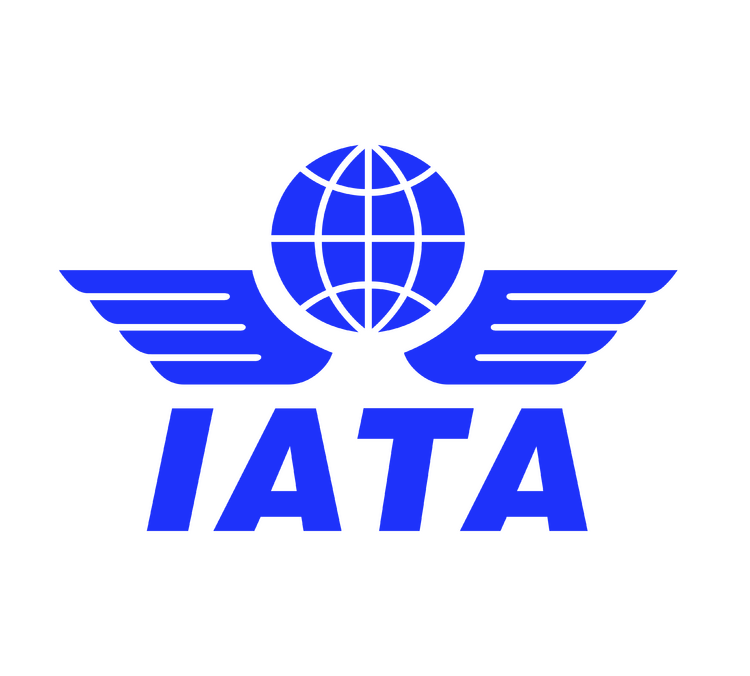 dreamix aviation, aviation software, aviation partner, iata partner, iata software