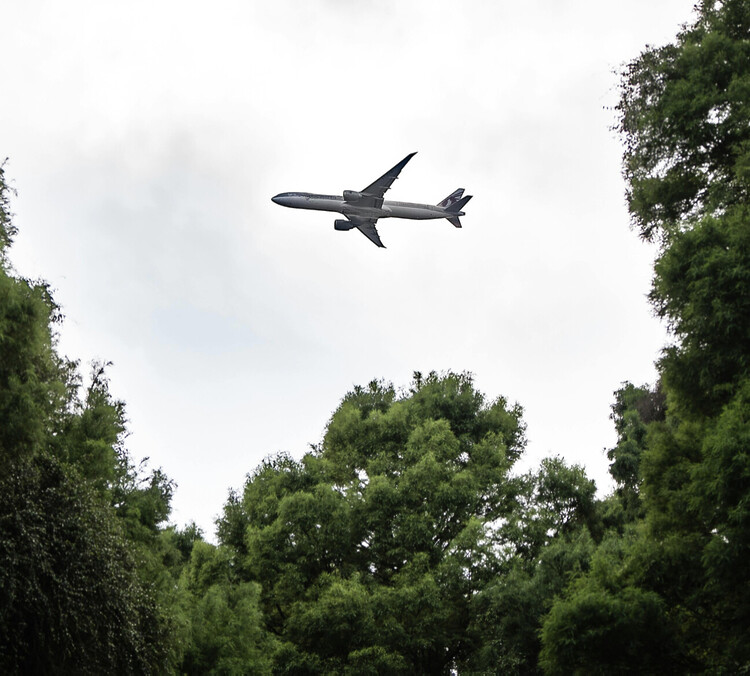 dreamix-aviation-software-development-sustainability