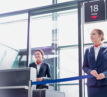 passenger processing solutions by Dreamix, aviation software development company