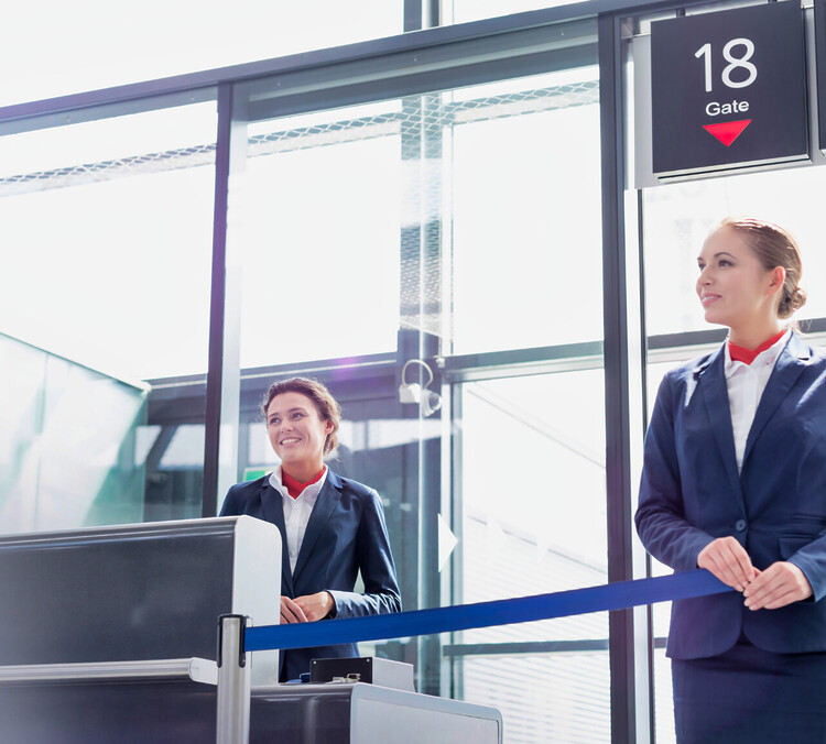 passenger processing solutions by Dreamix, aviation software development company