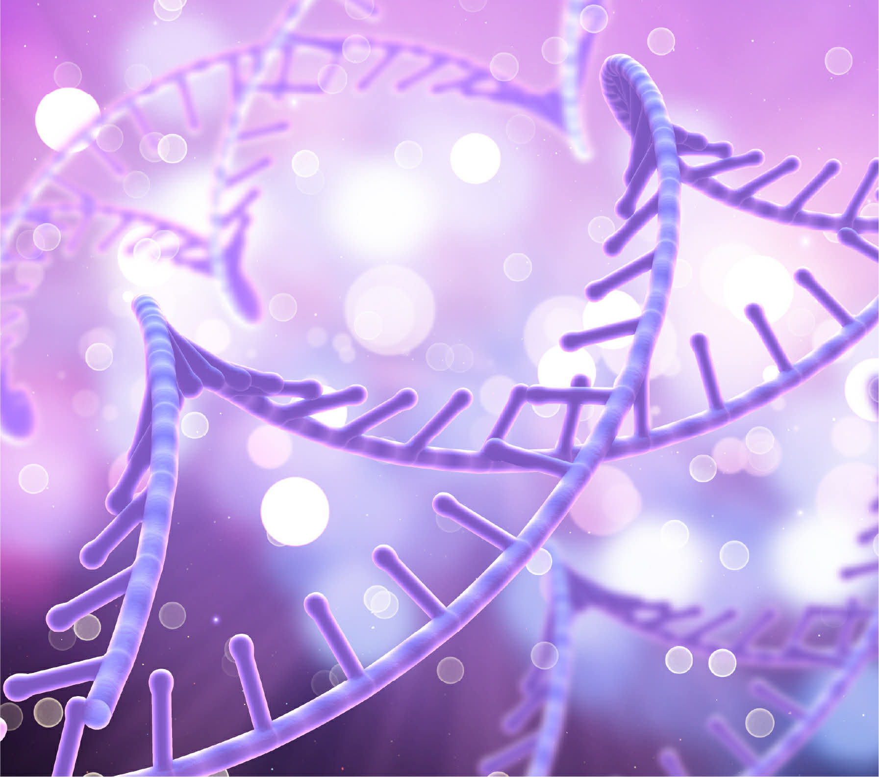 healthcare - Individuelle Softwareentwicklung im Gesundheitswesen 8 healthcare - Individuelle Softwareentwicklung im Gesundheitswesen